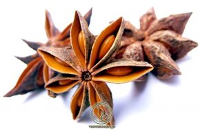 Cách Dùng Hoa Hồi Chữa Bệnh