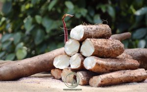 Cách Dùng Hoài Sơn Chữa Bệnh