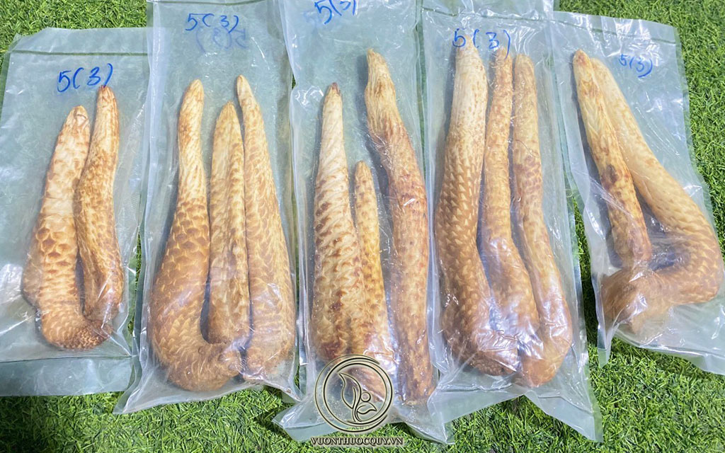 Nhục Thung Dung Có Tác Dụng Gì ?
