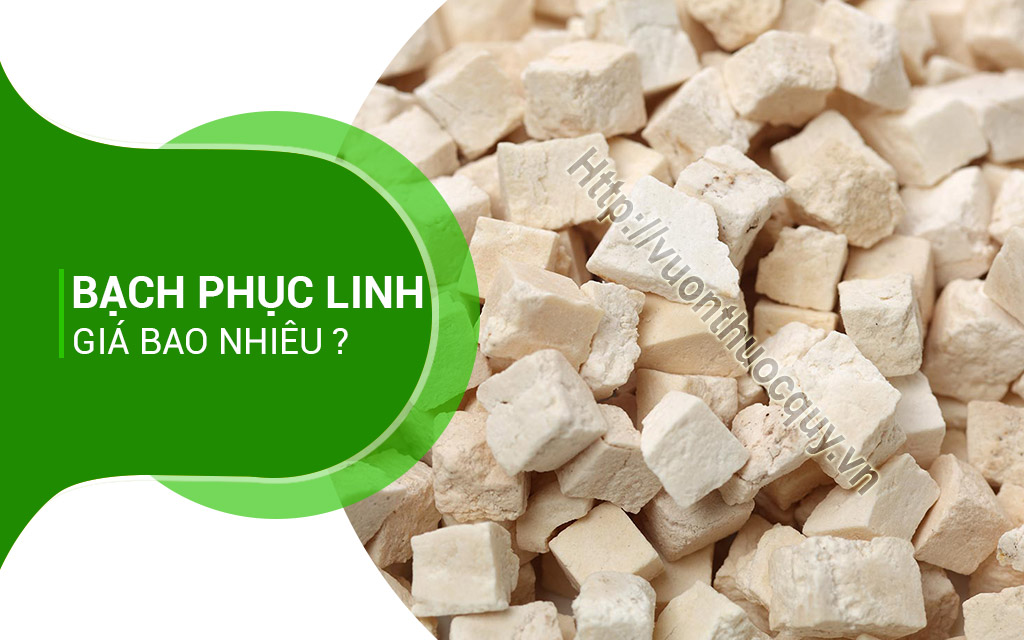 Bạch Phục Linh Giá Bao Nhiêu ?
