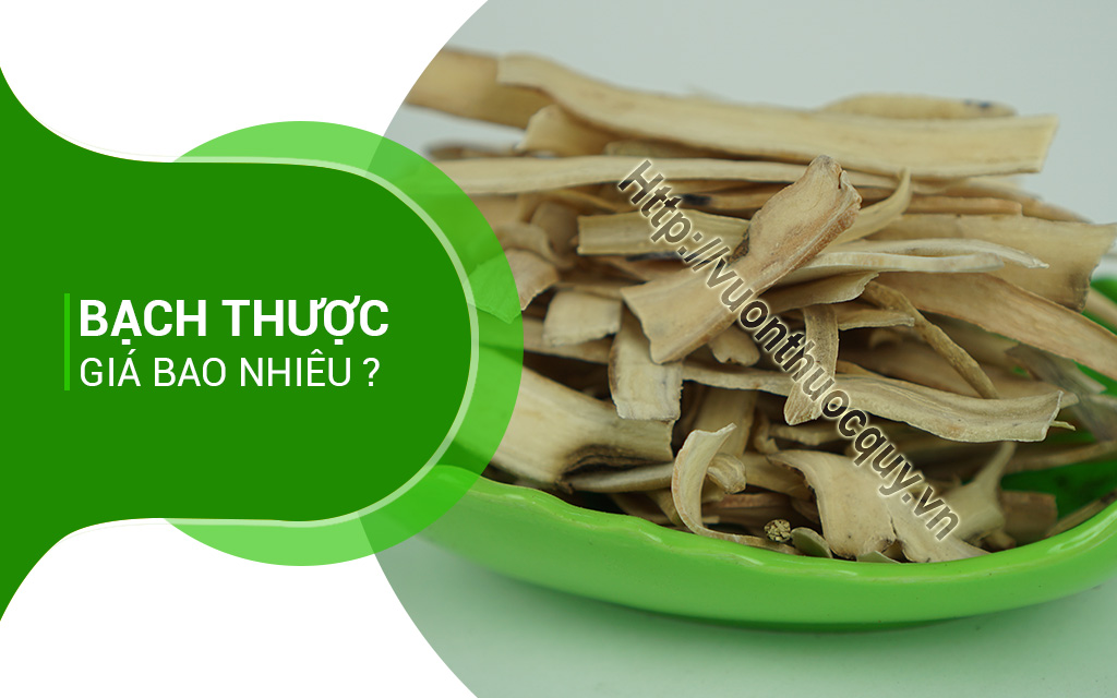 Bạch Thược Giá Bao Nhiêu ?