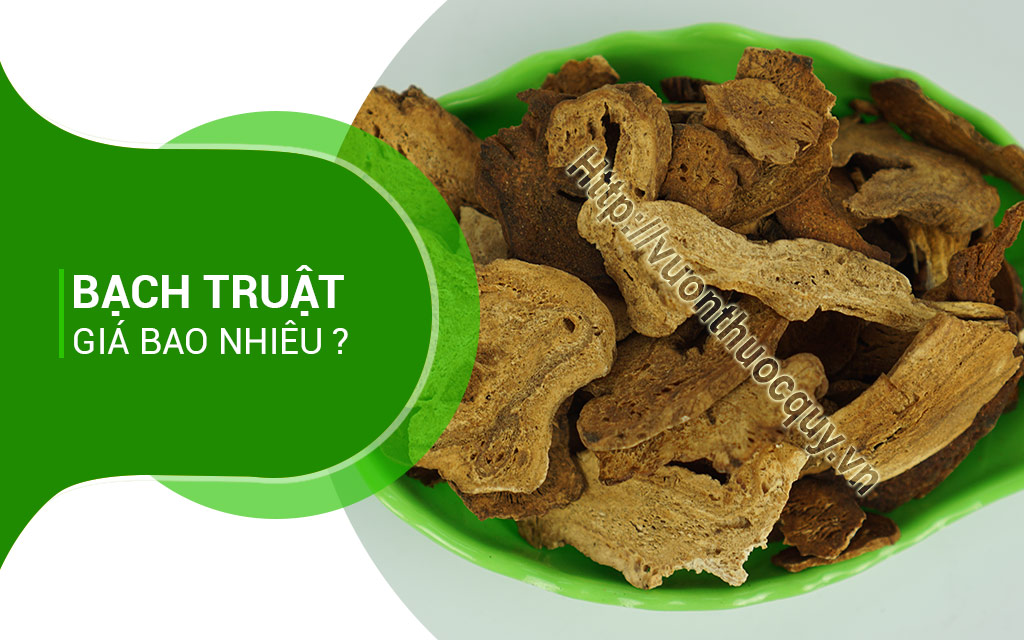 Bạch Truật Giá Bao Nhiêu ?