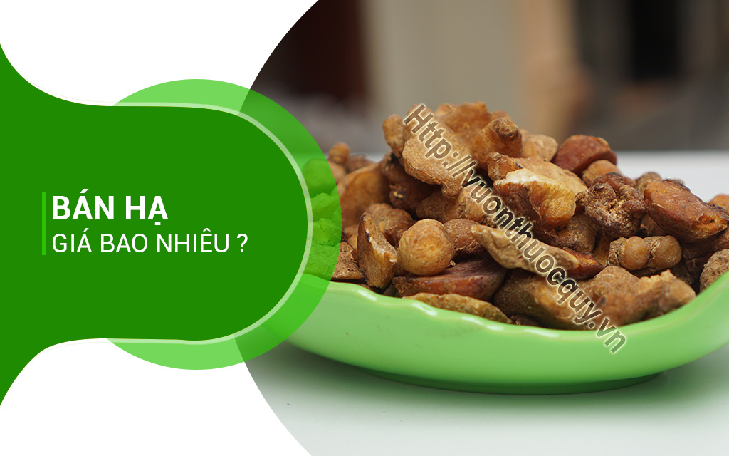 Bán Hạ Giá Bao Nhiêu ?
