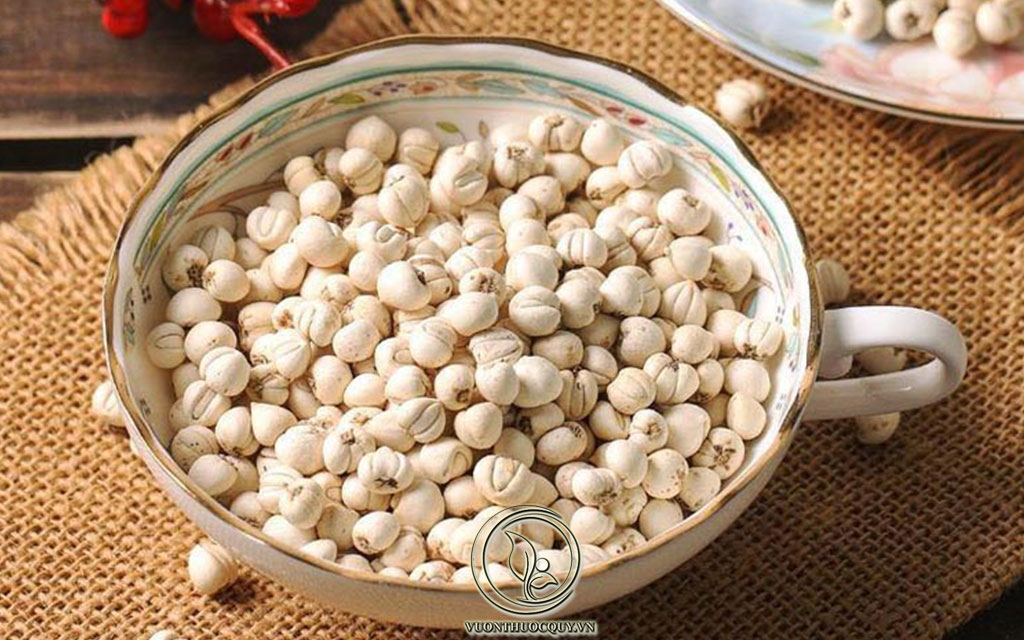 Bối Mẫu Có Tác Dụng Gì ?