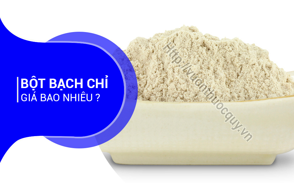 Bột Bạch Chỉ Giá Bao Nhiêu ?