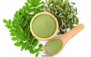 Bột Chùm Ngây Có Tác Dụng Gì ?