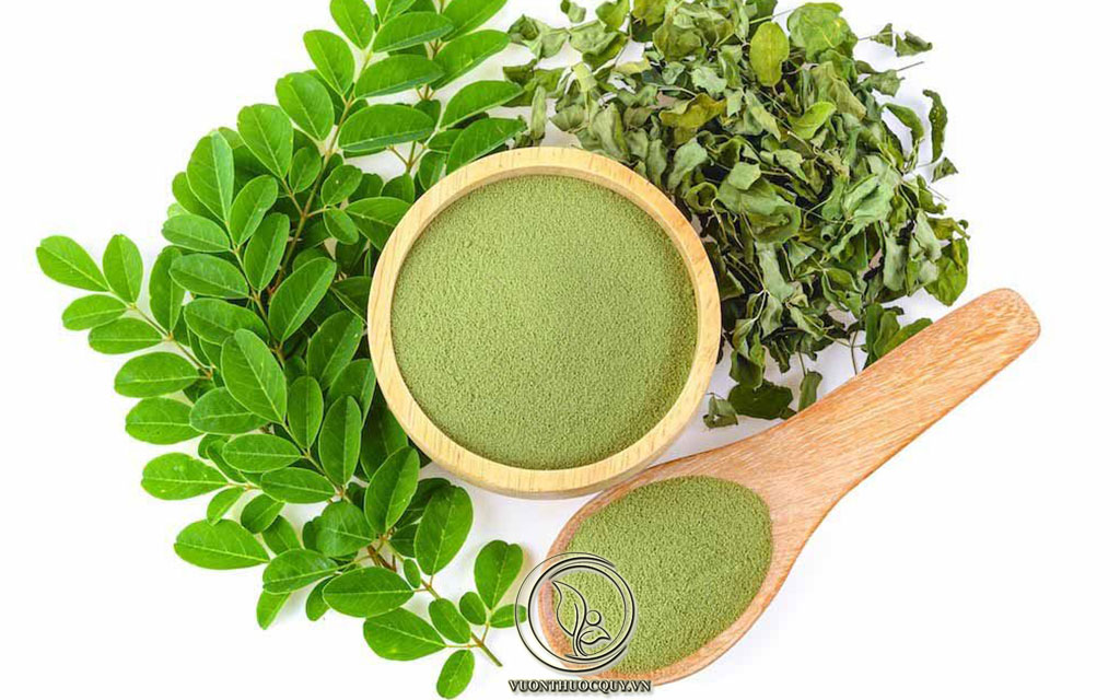 Bột Chùm Ngây Có Tác Dụng Gì ?