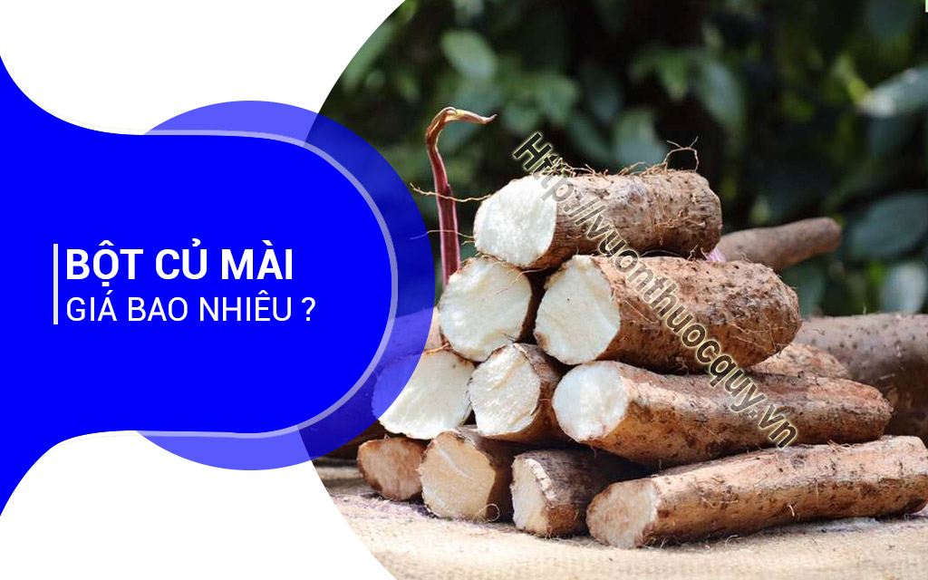 Bột Củ Mài Giá Bao Nhiêu ?