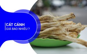 Cát Cánh Giá Bao Nhiêu ?