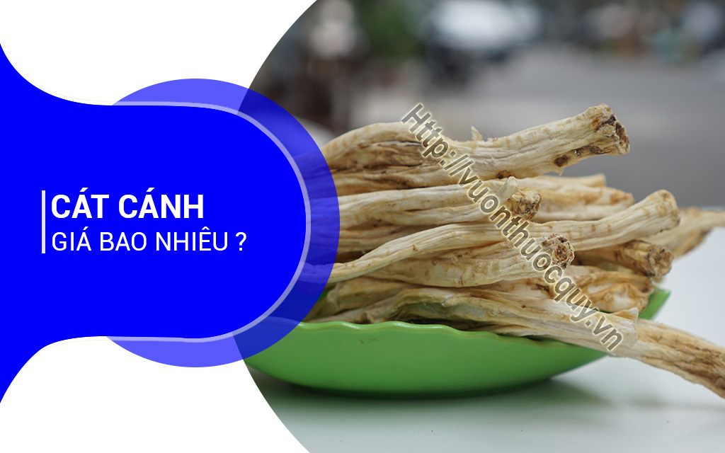 Cát Cánh Giá Bao Nhiêu ?