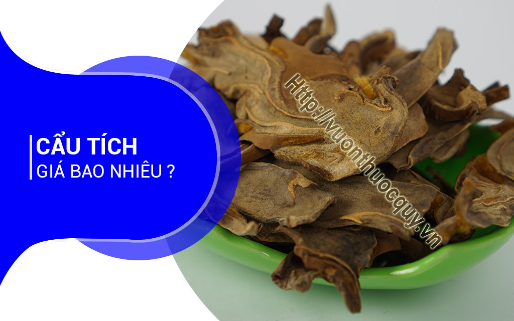 Cẩu Tích Giá Bao Nhiêu ?