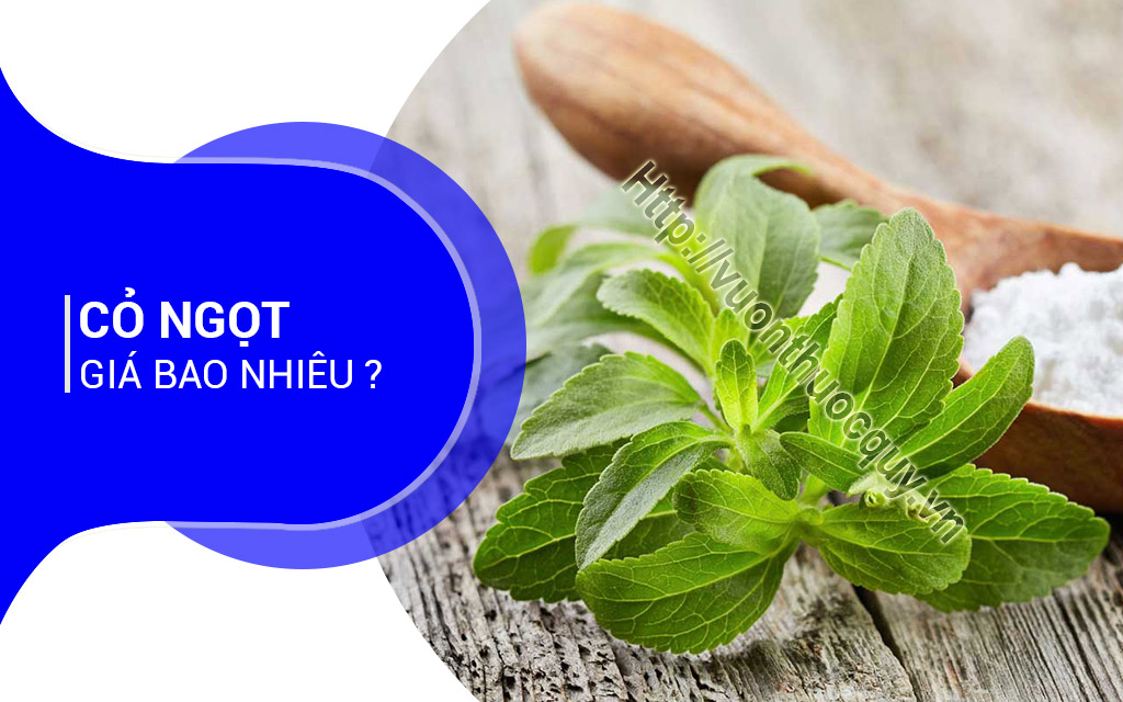 Cỏ Ngọt Giá Bao Nhiêu ?