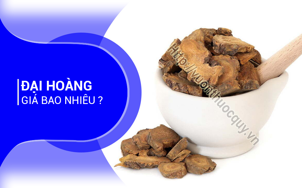 Đại Hoàng Giá Bao Nhiêu ?