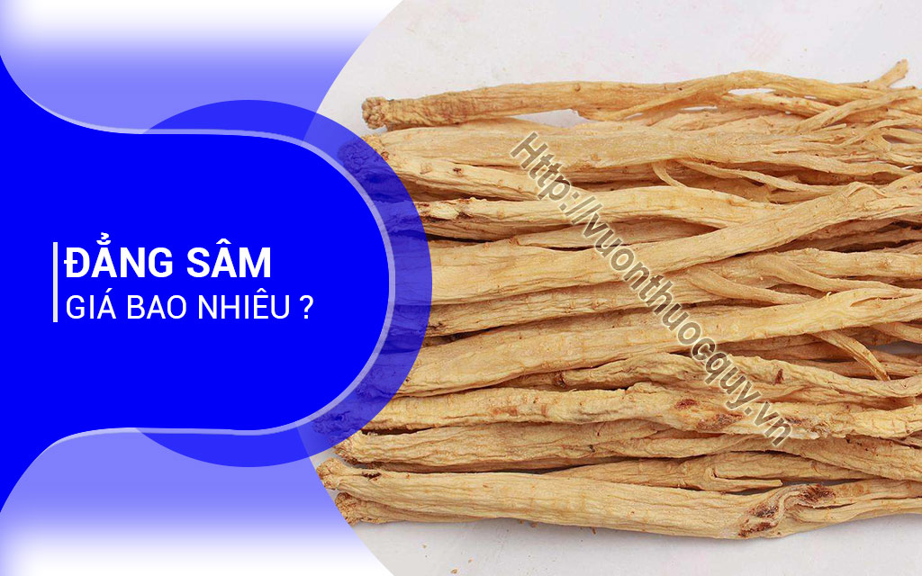 Đẳng Sâm Giá Bao Nhiêu ?