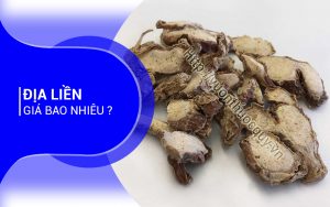 Địa Liền Giá Bao Nhiêu ?