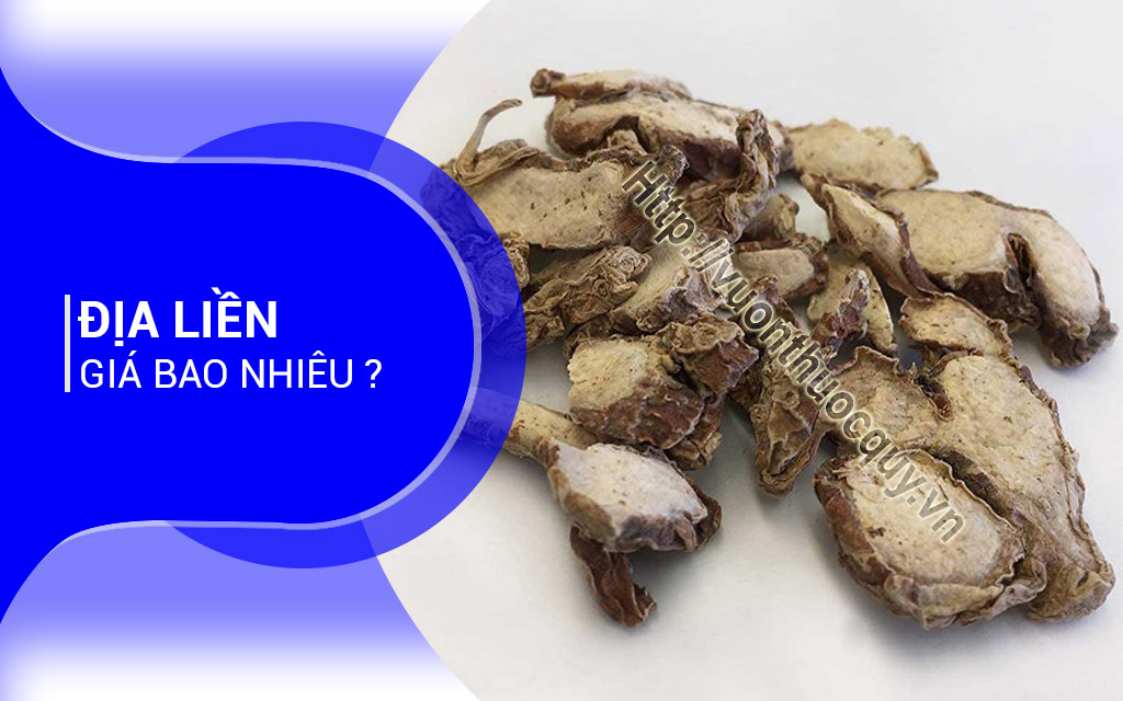 Địa Liền Giá Bao Nhiêu ?