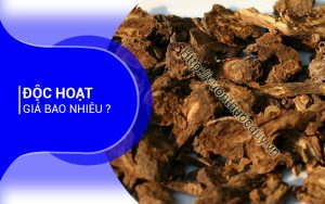 Độc Hoạt Giá Bao Nhiêu ?