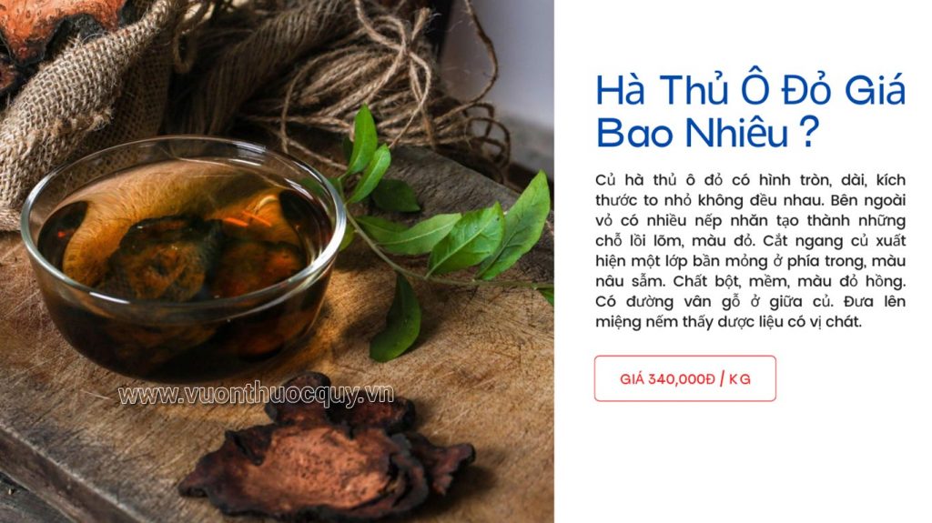 Hà Thủ Ô Đỏ Giá Bao Nhiêu ?