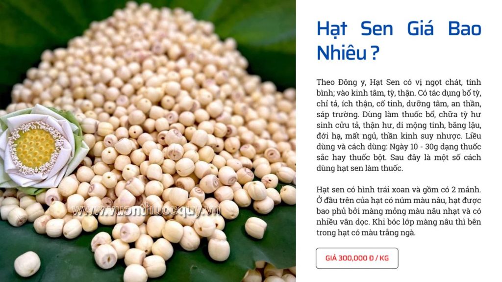 Hạt Sen Giá Bao Nhiêu ?