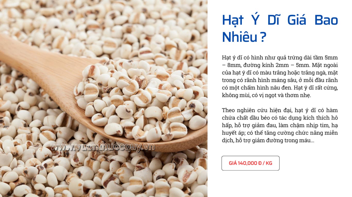 Hạt Ý Dĩ Giá Bao Nhiêu ?
