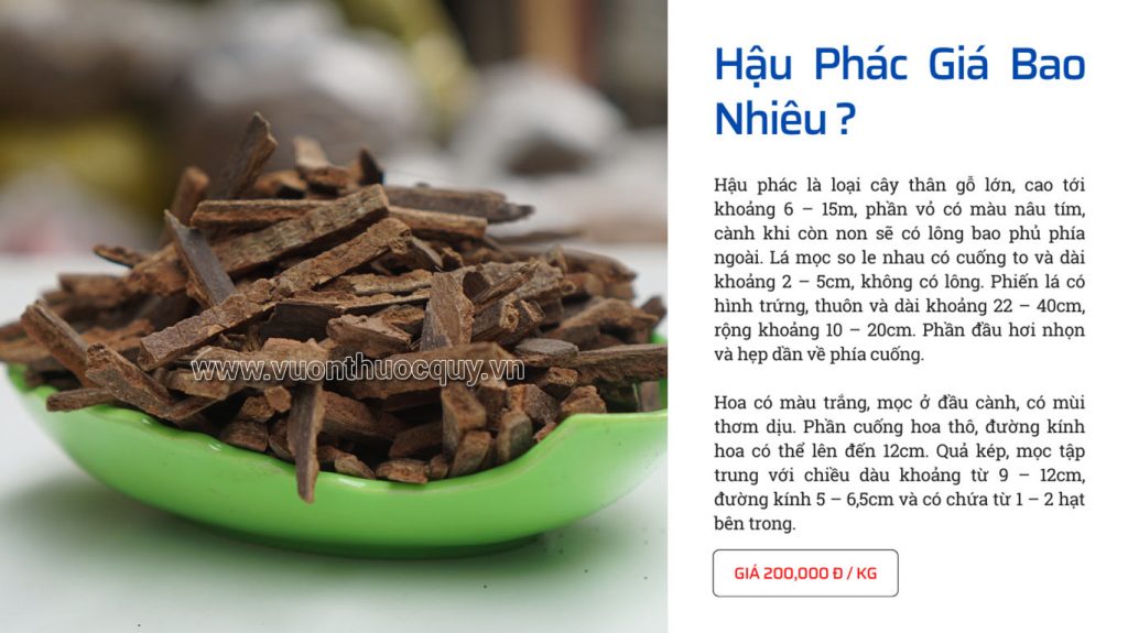 Hậu Phác Giá Bao Nhiêu ?