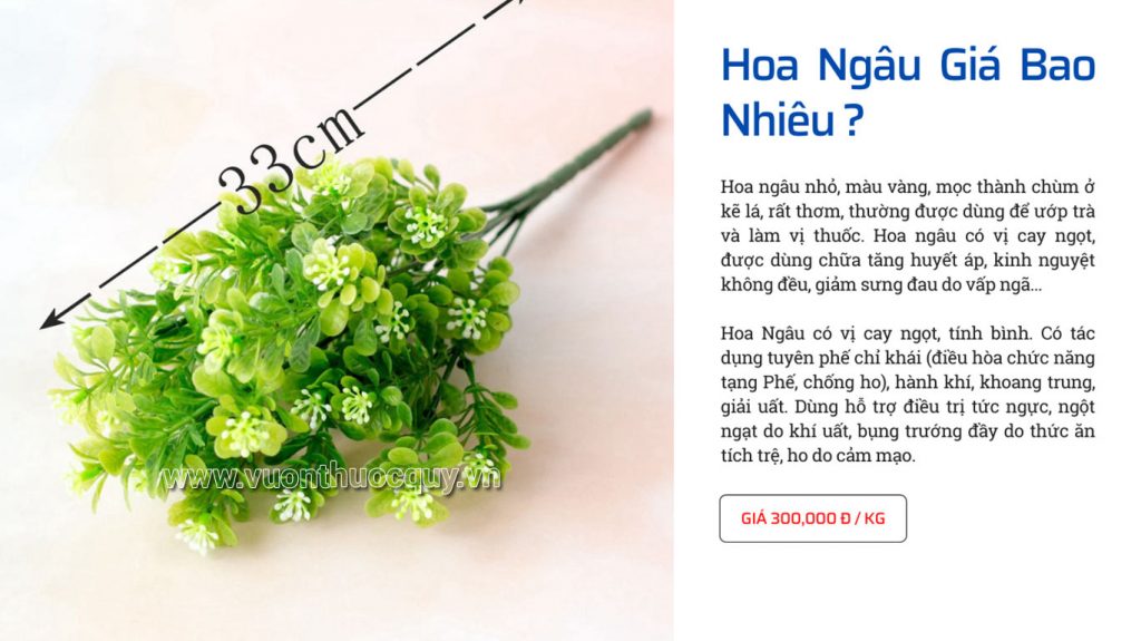 Hoa Ngâu Giá Bao Nhiêu ?