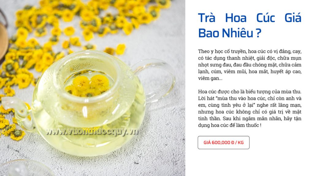Trà Hoa Cúc Giá Bao Nhiêu ?