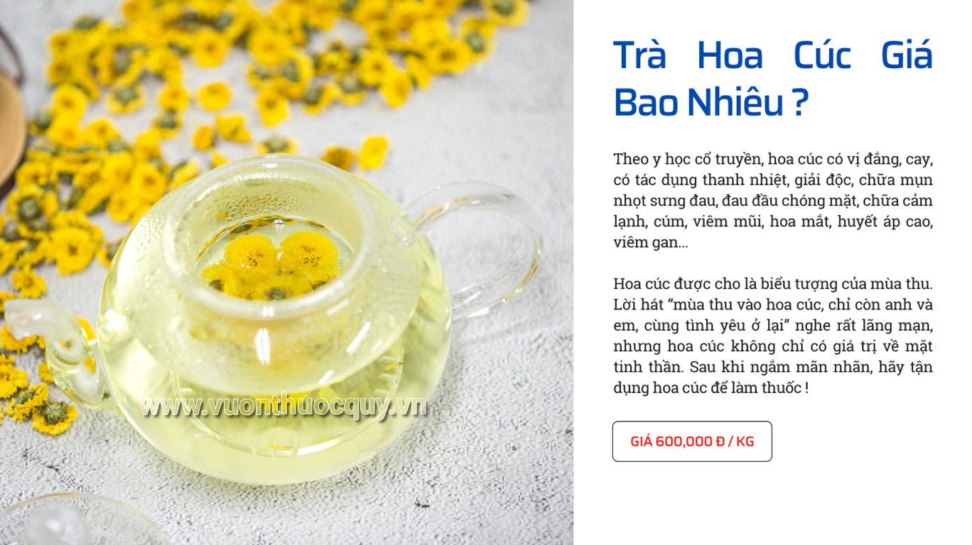 Trà Hoa Cúc Giá Bao Nhiêu ?
