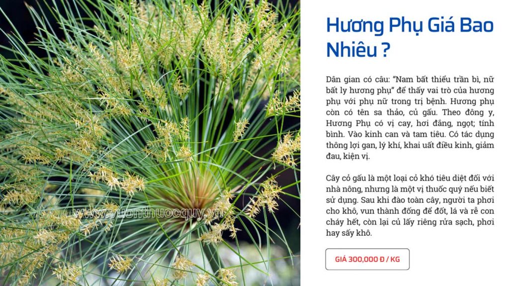 Hương Phụ Giá Bao Nhiêu ?