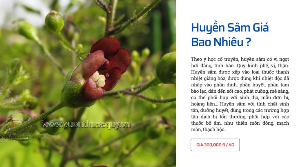 Huyền Sâm Giá Bao Nhiêu ?