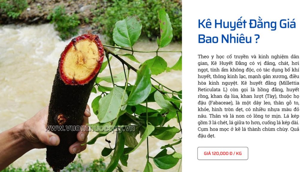Kê Huyết Đằng Giá Bao Nhiêu ?