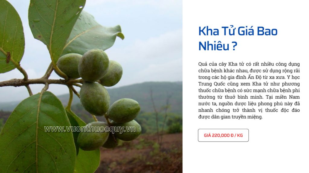 Kha Tử Giá Bao Nhiêu ?