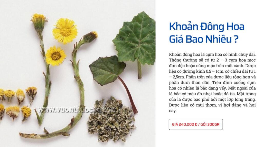 Khoản Đông Hoa Giá Bao Nhiêu ?