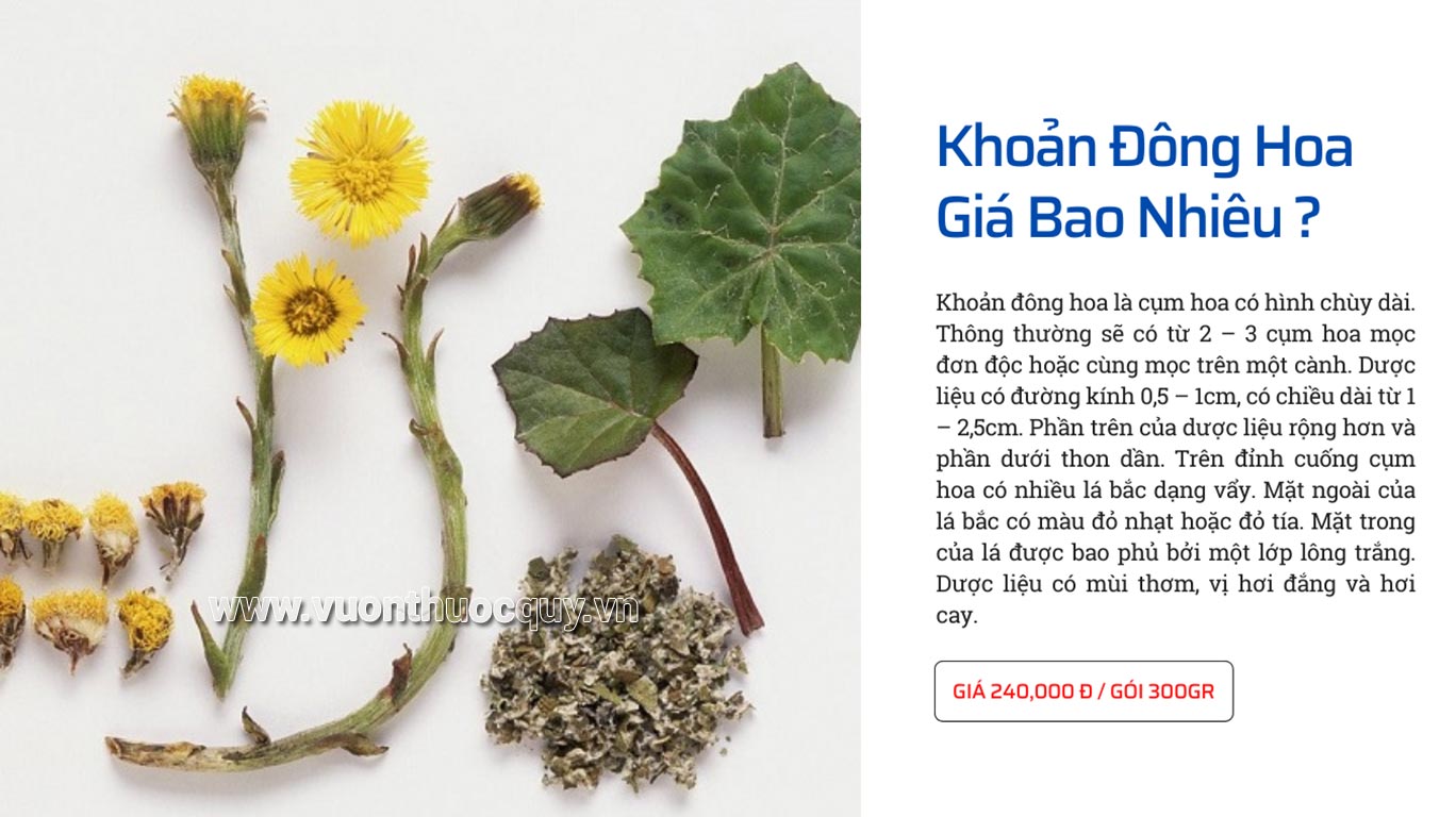 Khoản Đông Hoa Giá Bao Nhiêu ?